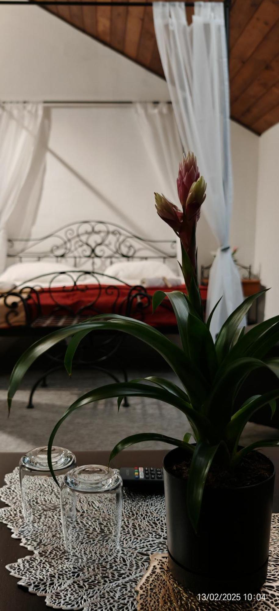 Hotel Plzensky Dvur Frydek-Mistek Ngoại thất bức ảnh