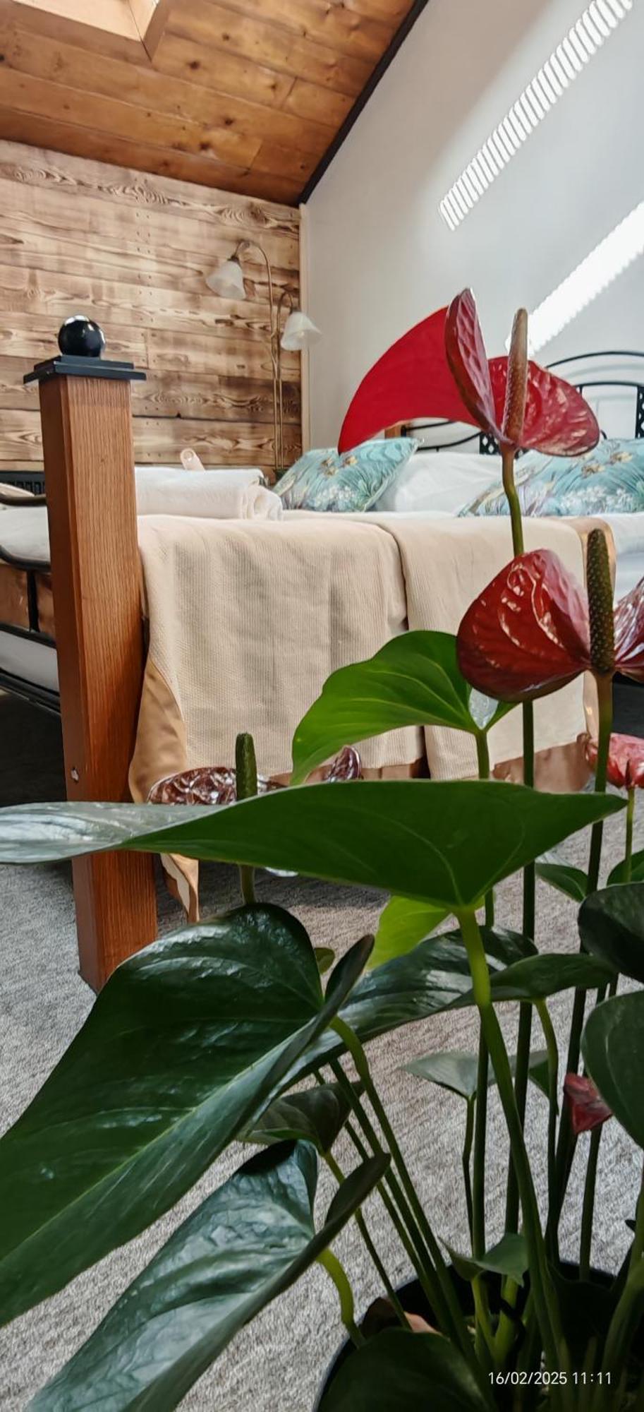 Hotel Plzensky Dvur Frydek-Mistek Ngoại thất bức ảnh